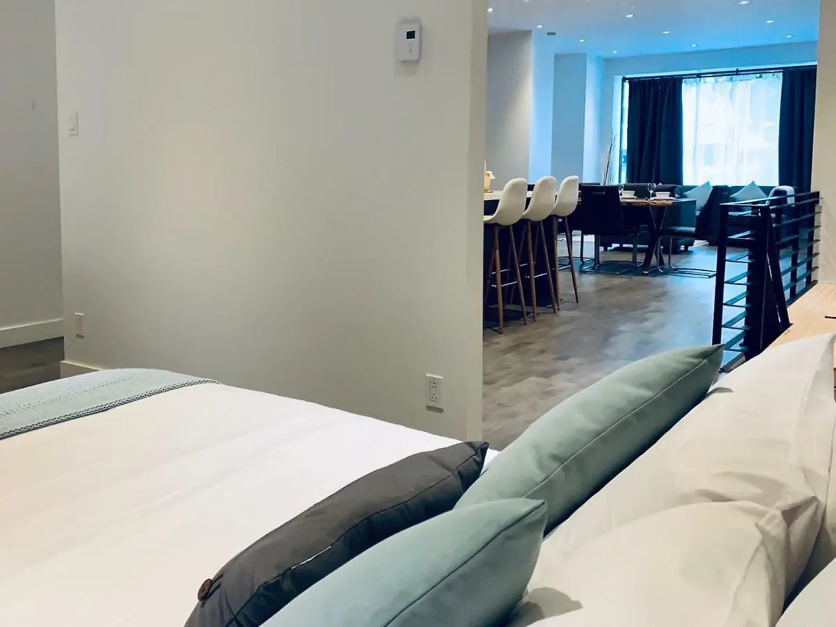 Sunny Apartment Fully Renovated In Saint Denis St Montreal