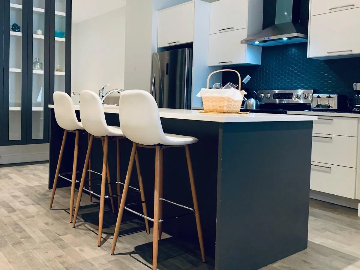 Sunny Apartment Fully Renovated In Saint Denis St Montreal 0*,