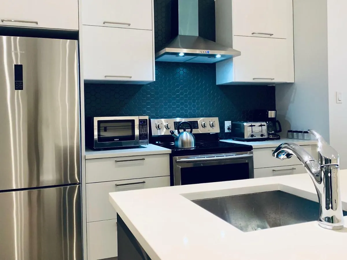 Sunny Apartment Fully Renovated In Saint Denis St Montreal
