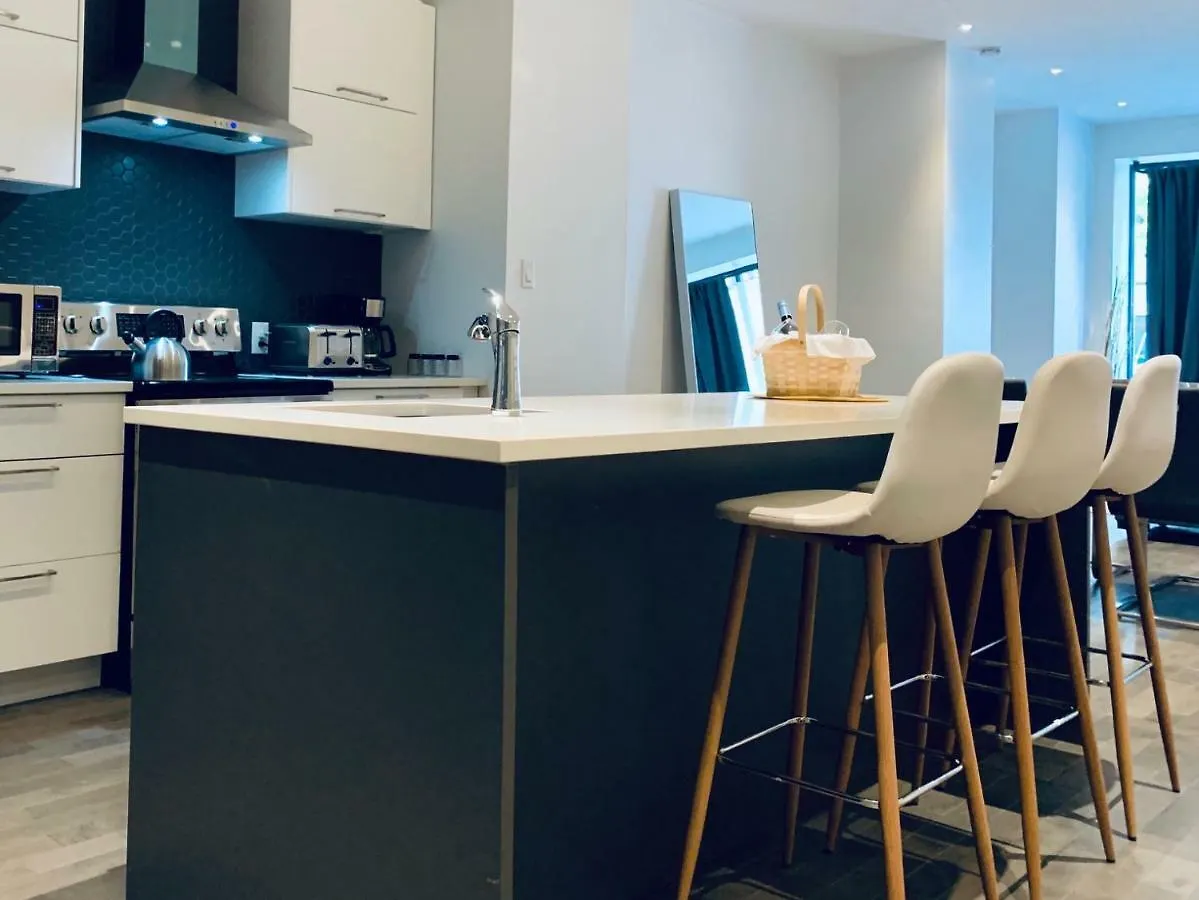 Sunny Apartment Fully Renovated In Saint Denis St Montreal Canada