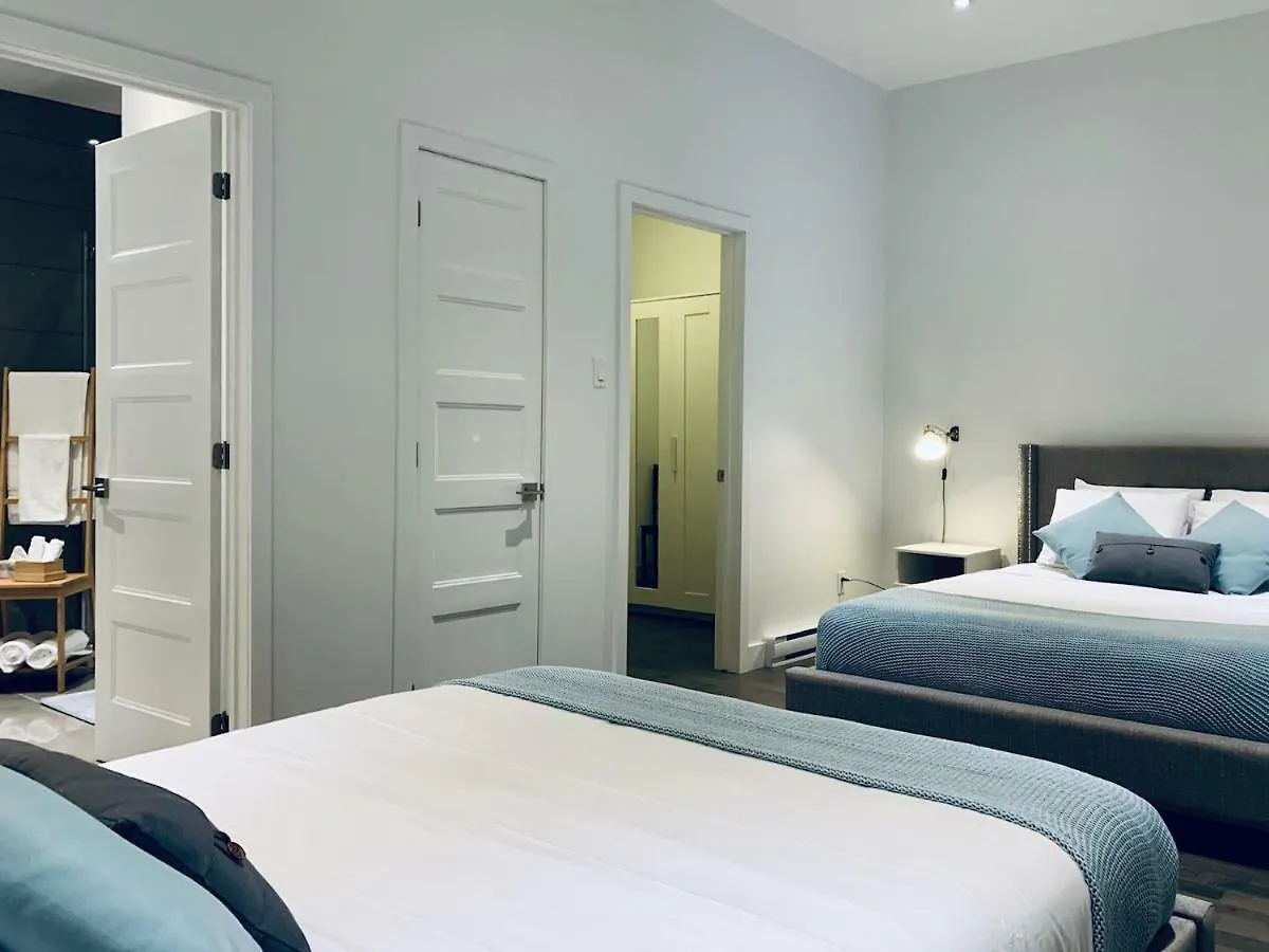 Sunny Apartment Fully Renovated In Saint Denis St Montreal